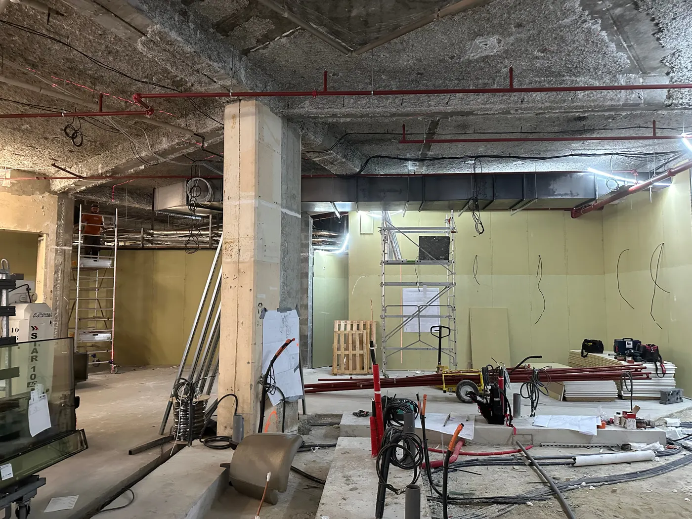 Vinatier — curage, gros œuvre apparent